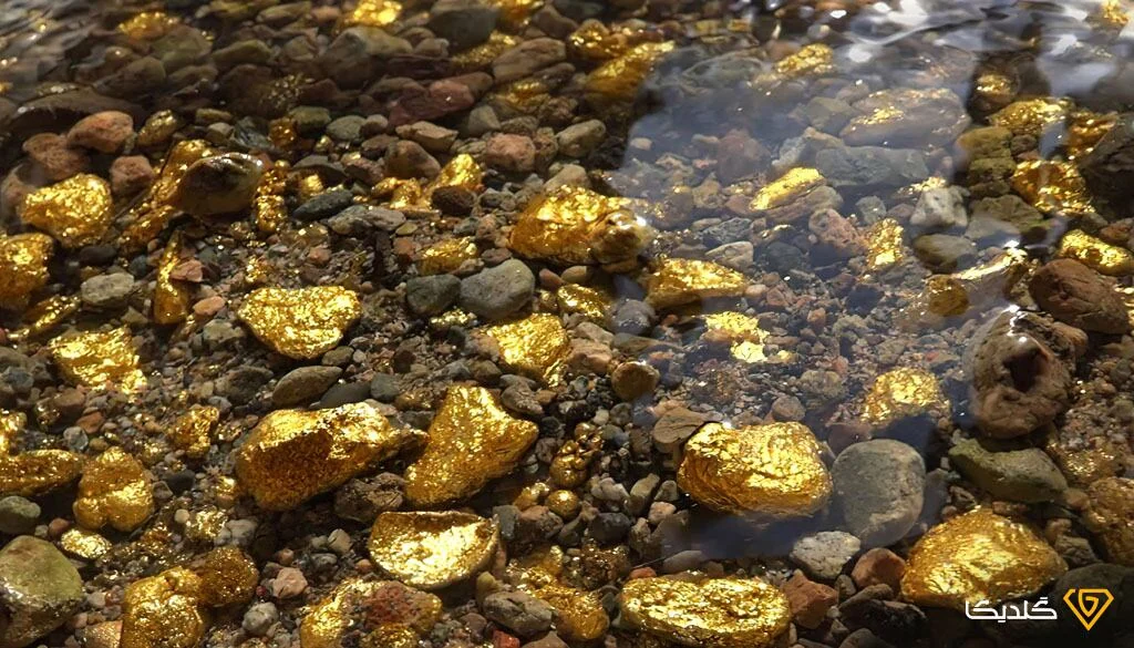 با  انواع طلای خامی که در طبیعت یافت می‌شود آشنا شوید.