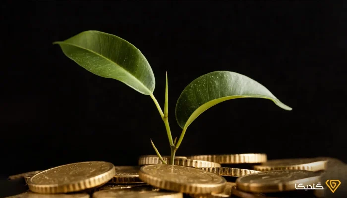 با بهترین سکه برای سرمایه گذاری در سال 1404 آشنا شوید.