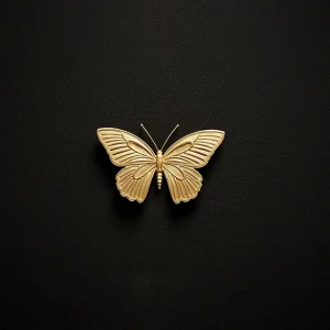 با ۲ میلیون چه طلایی میشه خرید؟