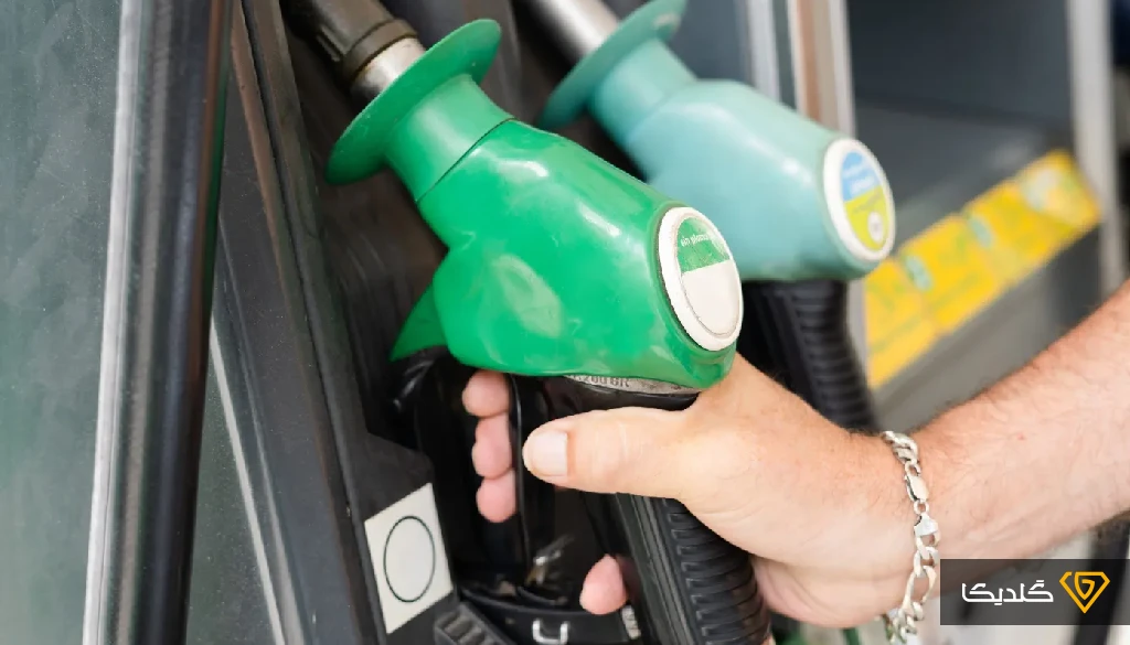 قالب بلاگ گلدیکا 75