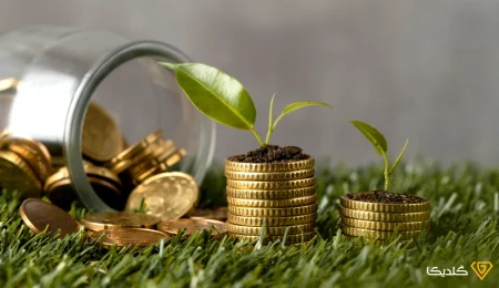 تامین سرمایه یعنی چه و شرکت تامین سرمایه چه وظایفی دارد؟